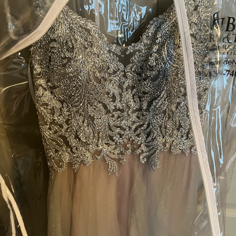 Princess Prom Dress - Picture 4 of 6